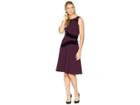 Calvin Klein Velvet Detail Fit Flare Dress Cd8c14rp (aubergine) Women's Dress