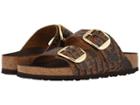 Birkenstock Arizona Big Buckle (gator Brown Embossed Leather) Women's  Shoes