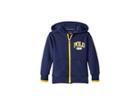 Polo Ralph Lauren Kids Double Knit Graphic Hoodie (toddler) (spring Navy) Boy's Sweatshirt