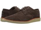 Toms Brogue (chocolate Brown Suede) Men's Lace Up Casual Shoes