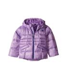 The North Face Kids Moondoggy 2.0 Down Jacket (toddler) (bellflower Purple (prior Season)) Girl's Coat