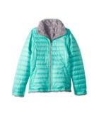 The North Face Kids Reversible Mossbud Swirl Jacket (little Kids/big Kids) (bermuda Green/metallic Silver (prior Season)) Girl's Coat