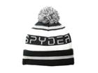 Spyder Kids Icebox Hat (little Kids/big Kids) (black/white/black) Caps