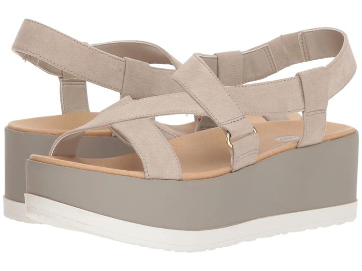 Dr. Scholl's Companion