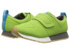 Native Kids Shoes Cornell Hl Ct (little Kid) (spring Green Ct/shell White/dublin Grey/gum Rubber) Kids Shoes