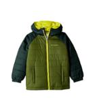 Columbia Kids Tree Time Puffer Jacket (little Kids/big Kids) (pesto/deep Woods/ginkgo) Boy's Coat
