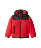 The North Face Kids Reversible True Or False Jacket (toddler) (tnf Red (prior Season)) Boy's Coat