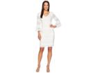 Adrianna Papell Ava Lace Bell Sleeve Dress (ivory/powder) Women's Dress