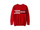 Tommy Hilfiger Kids Hilfiger Logo Sweater (big Kids) (scarlet Sage) Boy's Sweater