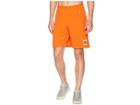 Champion College Florida Gators Mesh Shorts (orange) Men's Shorts