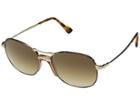 Persol 0po2449s (havana Gold/clear Gradient Brown) Fashion Sunglasses