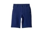 Quiksilver Kids Union Nep Amphibian Shorts (toddler/little Kids) (medieval Blue) Boy's Shorts