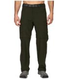 The North Face Paramount Peak Ii Convertible Pant (rosin Green) Men's Casual Pants