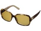 Kate Spade New York Annora/p/s (honey Havana Beige/brown Polarized) Fashion Sunglasses