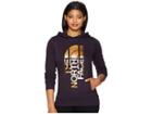 The North Face Trivert Pullover Hoodie (galaxy Purple/gold Foil) Women's Sweatshirt