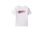 Polo Ralph Lauren Kids Cotton Jersey Graphic T-shirt (toddler) (pure White) Boy's T Shirt