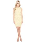 Maggy London Star Flower Lace Scalloped Sheath Dress (yellow/white) Women's Dress