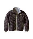 The North Face Kids Thermoball Full Zip Jacket (little Kids/big Kids) (graphite Grey (prior Season)) Boy's Coat
