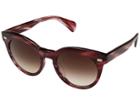 Oliver Peoples Dore (cherry Cocobolo/spice Brown Gradient) Fashion Sunglasses