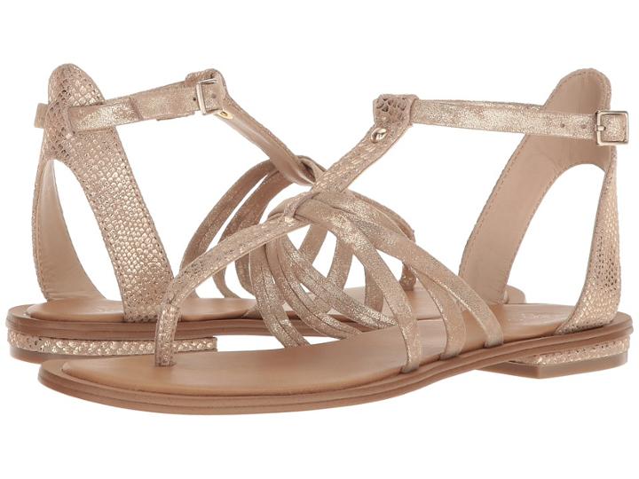 Isola Marica (gold/platino Shell Suede/distressed Foil Suede) Women's Dress Sandals