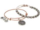 Alex And Ani Warmest Wishes Bangle (two-tone) Bracelet