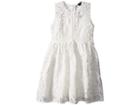 Bardot Junior Panama Lace Dress (big Kids) (ivory) Girl's Dress