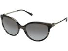 Michael Kors Abi 0mk2052 55mm (black Horn/grey Gradient) Fashion Sunglasses