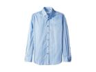 Robert Graham Abel Stripe Long Sleeve Dress Shirt (blue) Men's Long Sleeve Button Up