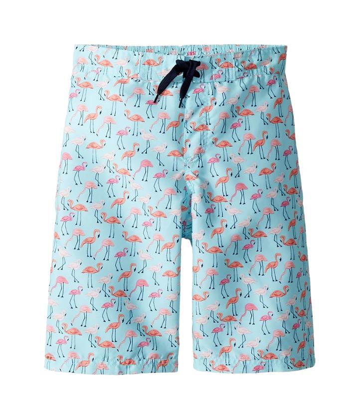 Janie And Jack Printed Swim Trunks (toddler/little Kids/big Kids) (multicolor 2) Boy's Swimwear