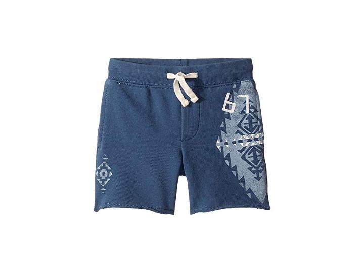 Polo Ralph Lauren Kids French Terry Graphic Shorts (toddler) (clancy Blue) Boy's Shorts