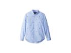 Polo Ralph Lauren Kids Striped Stretch Cotton Shirt (big Kids) (dark Blue Multi) Boy's Long Sleeve Button Up