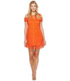 Christin Michaels Jeannine Cold Shoulder Lace Dress (orange) Women's Dress