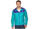 The North Face Cyclone 2 Hoodie (deep Blue/porcelain Green) Men's Sweatshirt