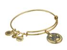 Alex And Ani Mlb(r) New York Yankeestm Charm Bangle (rafaelian Gold Finish/primary Logo) Bracelet