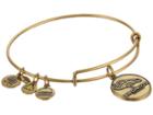 Alex And Ani Denver Broncos Logo Charm Bangle (rafaelian Gold Finish) Bracelet