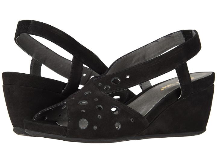 David Tate Yummy (black) Women's  Shoes