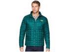 The North Face Thermoball Jacket (botanical Garden Green) Men's Coat