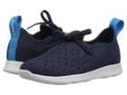 Native Kids Shoes Apollo Moc (toddler/little Kid) (regatta Blue/shell White) Kids Shoes