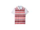 Puma Golf Kids Turf Stripe Polo Jr (big Kids) (pomegranate) Boy's Short Sleeve Knit
