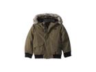 The North Face Kids Gotham Down Jacket (toddler) (new Taupe Green) Boy's Coat