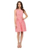 Adrianna Papell Split Neck Fit And Flare Dress W/ Pleated Skirt (paradise) Women's Dress