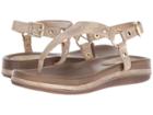 Volatile Beacan (champagne) Women's Shoes