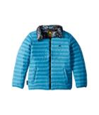 Burton Kids Flex Puffy Jacket (little Kids/big Kids) (mountaineer/mountaineer Beast) Boy's Coat
