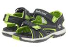 Timberland Kids Mad River 2-strap Sandal (toddler/little Kid) (dark Grey/ Green) Boys Shoes