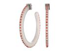 Steve Madden Dotted Acrylic C Hoop Post Earrings (pink) Earring