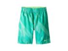 Nike Kids Tidal Flow Diverge Trunk (big Kids) (green Strike) Boy's Swimwear