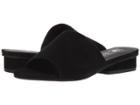 Sol Sana Hamilton Slide (black Suede) Women's Sandals