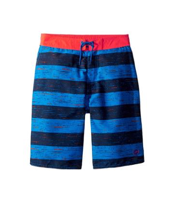 Speedo Kids Thru Way Stripe E-boardshorts (little Kids/big Kids) (bright Ocean) Boy's Swimwear