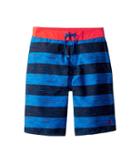 Speedo Kids Thru Way Stripe E-boardshorts (little Kids/big Kids) (bright Ocean) Boy's Swimwear