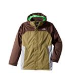 The North Face Kids Vortex Triclimate(r) Jacket (little Kids/big Kids) (brunette Brown (prior Season)) Boy's Coat